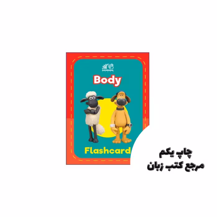 فلش کارت Body Flashcard (فلش کارت اعضای بدن)