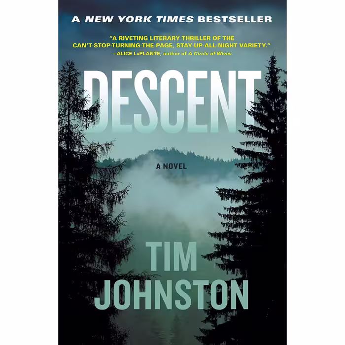 کتاب Descent اثر Tim Johnston انتشارات Algonquin Books
