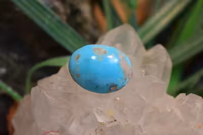 فیروزه کرمان