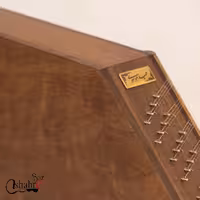 سنتور موسوی رزوود