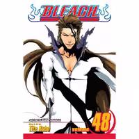 Bleach v48