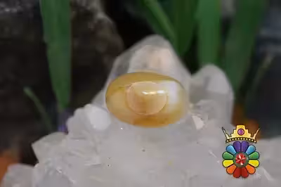 عقیق باباقوری