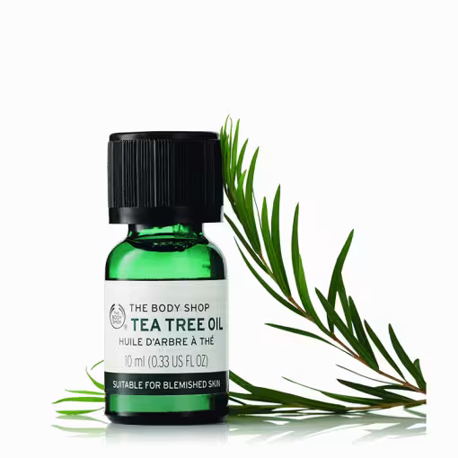 روغن درخت چای بادی شاپ The Body Shop