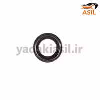 کاسه نمد پلوس پراید ورسی