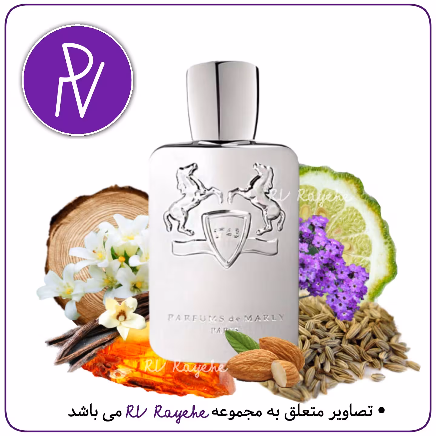 کدجدید عطر پگاسوس   1 میل (گرم تند شرقی ) سویسی  فرانسوی.توضیحات مطالعه گردد آروی رایحه  RVrayehe  ادکلن د مارلی پگاسوس 