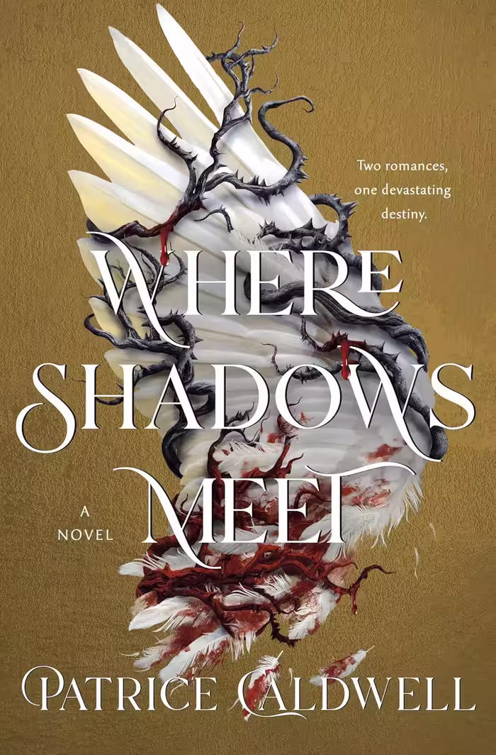 Where Shadows Meet