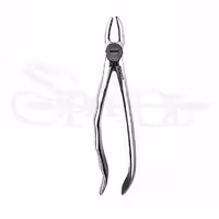 فورسپس اناتومیک مولر بالا چپ دنتال دیوایسDental Devices