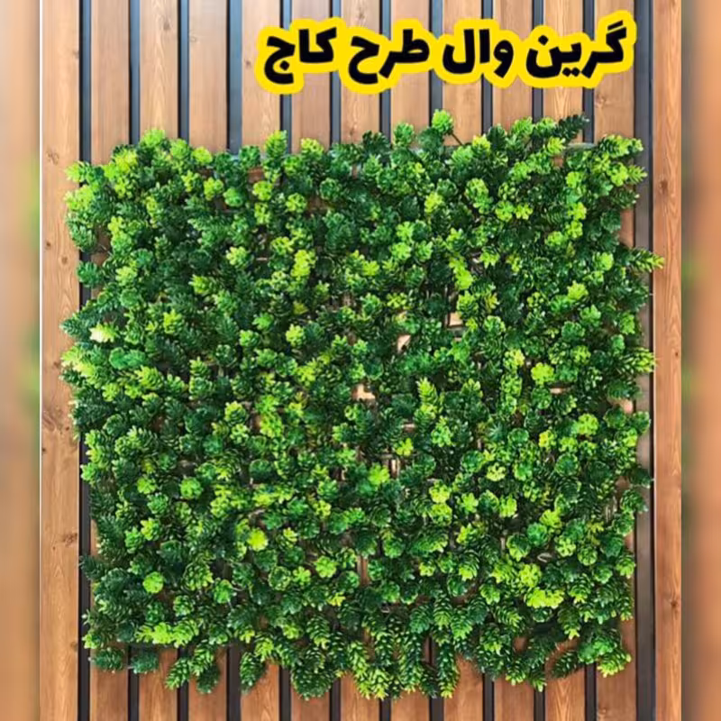 گرین وال کاج پرتراکم (دیوار سبز) ابعاد 50در50 cm (پس کرایه)