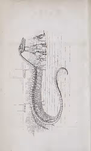 خرید و دانلود نسخه کامل کتاب Reise durch einen Theil der Vereinigten Staaten von Nordamerika in den Jahren 1844 bis 1846