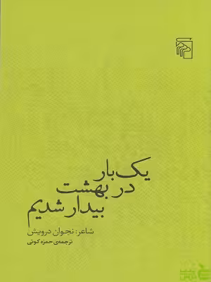 خرید اینترنتی کتاب یک بار در بهشت بیدار شدیم نجوان درویش مرکز با تخفیف