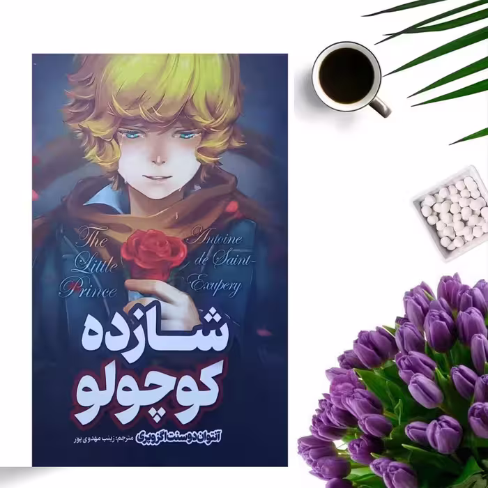 کتاب شازده کوچولو اثر آنتوان دوسنت اگزوپری انتشارات نگاه آشنا