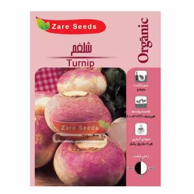 بذر شلغم