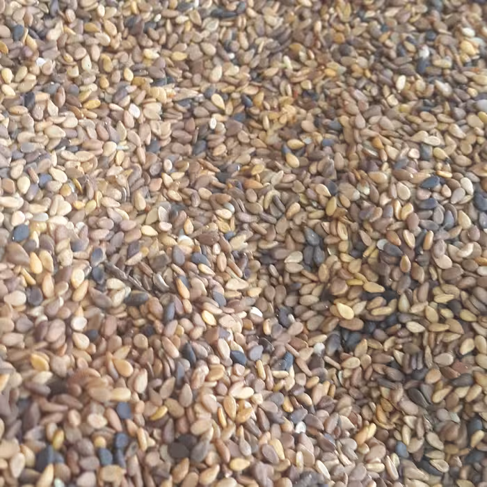 کنجد با پوست (یک کیلویی)