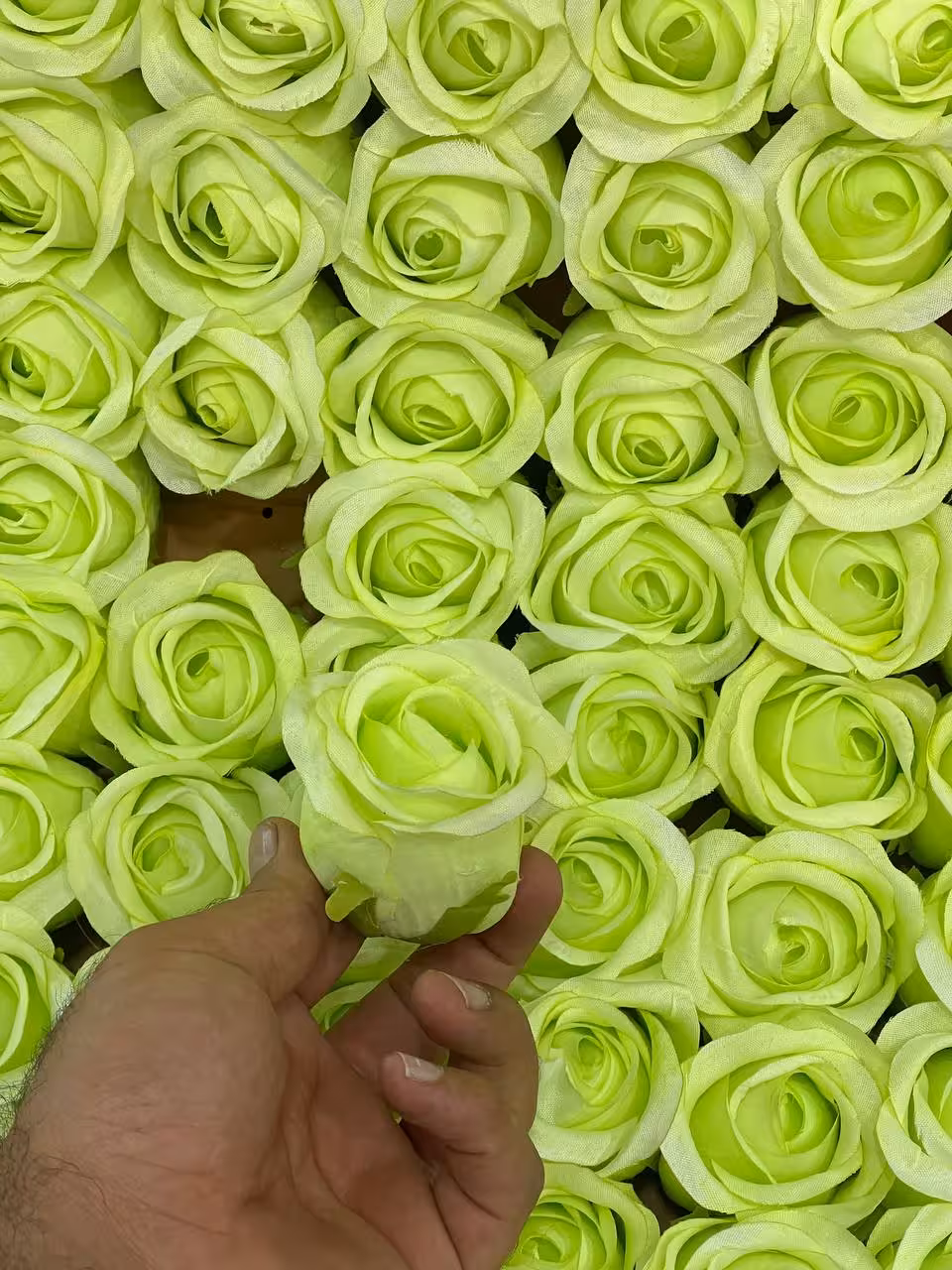 سرگل رز باکارا بدون ساقه مصنوعی سبز کمرنگ 10عددی