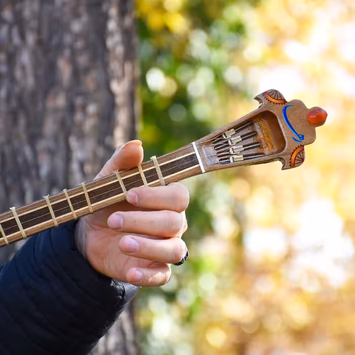 سه تار ایران ساز مدل رها