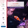 برچسب پوششی ماهوت مدل Clownfish مناسب برای تبلت اپل iPad Pro 11 (GEN 2) 2020 A2068