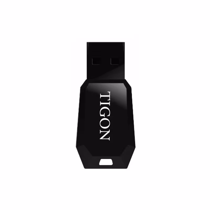 فلش مموری تایگون مدل P300 ظرفیت 64 گیگابایت