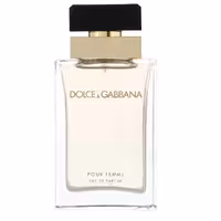 عطر ادکلن زنانه دی اند جی دلچه گابانا پور فمه Dolce Gabbana Pour Femme حجم 100 میلی لیتر | Dolce and Gabbana Pour Femme Eau De Parfum For Women 100 ml