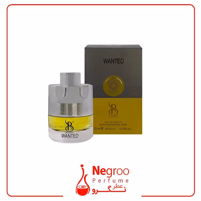عطر جیبی مردانه برندینی Brandini مدل Wanted حجم 25 میلی لیتر