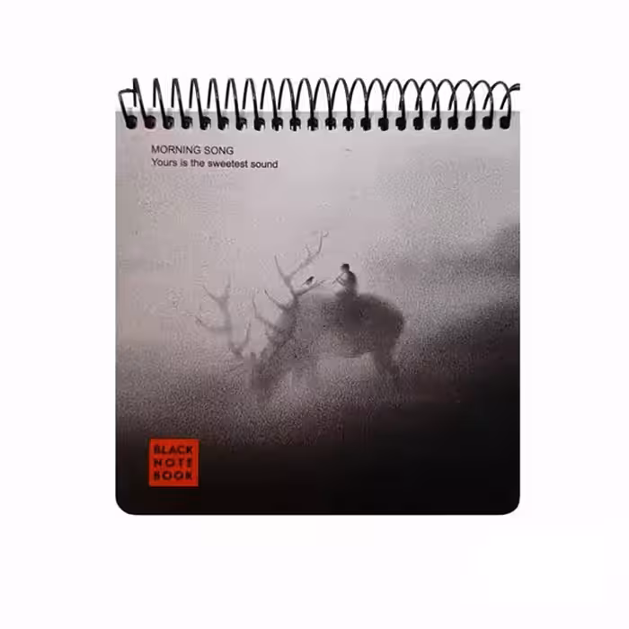 دفتر مشکی لاین نوت Line Note سایز خشتی