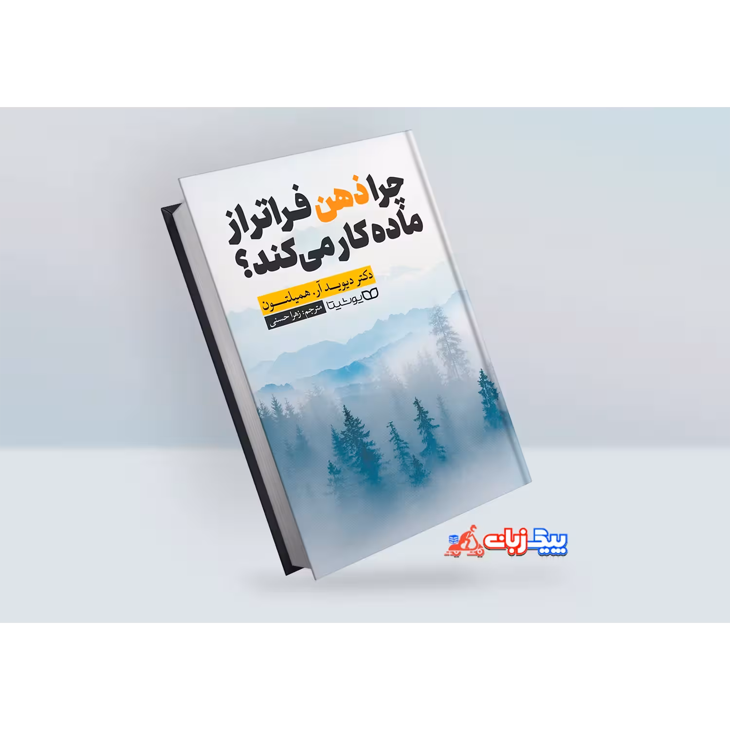 کتاب چرا ذهن فراتر از ماده کار می کند اثر دیوید آر. همیلتون