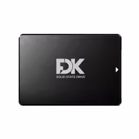 اس اس دی اینترنال فدک مدل B5 256GB ظرفیت 256 گیگابایت | کالا مکس
