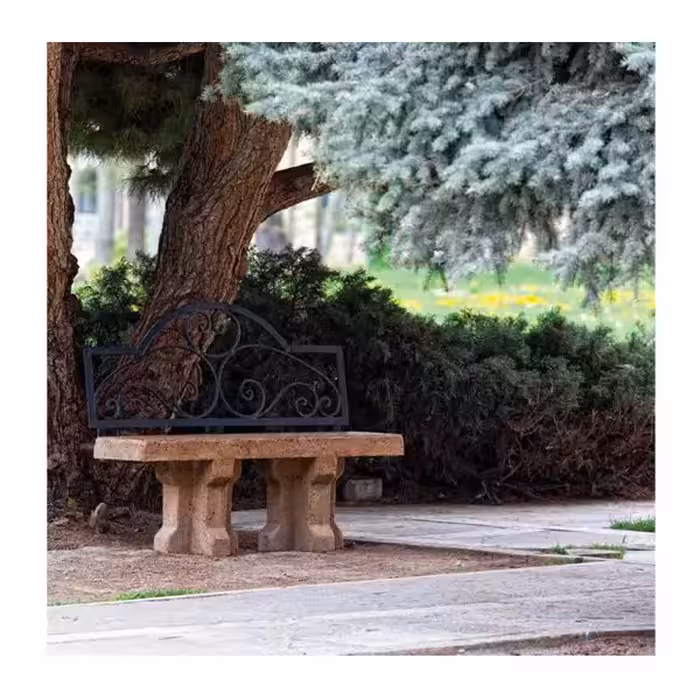 نیمکت تخت کلاسیک دورا با پشتی فرفورژه BF113