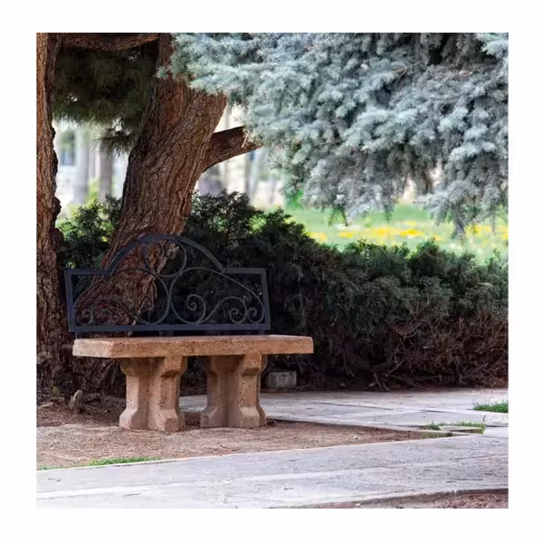 نیمکت تخت کلاسیک دورا با پشتی فرفورژه BF113