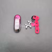 کاور ریموت دیگنیتی و پورش طرح پینک با بند ست