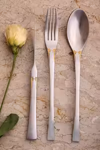 سرویس قاشق چنگال 151 پارچه نیکولاس مدل 810sfg