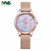 ساعت سیتیزن EM0508-80Y