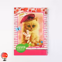 دفتر نقاشی 100 برگ سیمی طرح گربه جلد طلقی آونگ