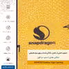 برچسب پوششی ماهوت مدل ML-SNPDRGN مناسب برای گوشی موبایل اینفینیکس Note 10 Pro