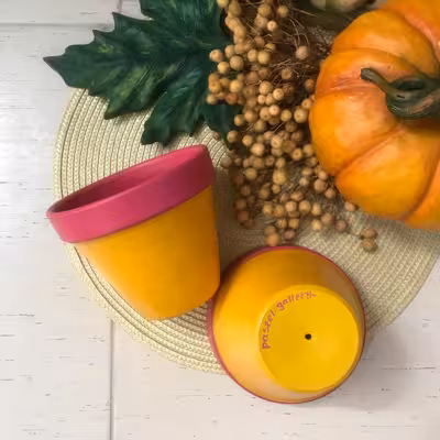 گلدان سفالی پاستل گالری مدل پریان