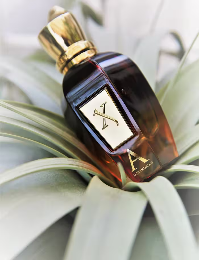 عطر ادکلن زرجف-زرژاف الکساندریا 2 اصل | Xerjoff Alexandria II 100ml