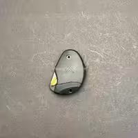 قاب ریموت زانتیا