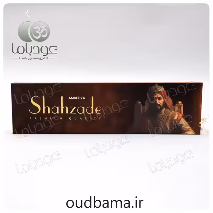 عود دست ساز شاهزاده SHAHZADE ( آمریا AMREEYA )