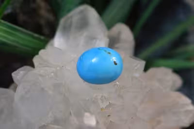 فیروزه امریکایی