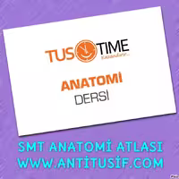 خرید و دانلود نسخه کامل کتاب SMT Nöroanatomi Atlası