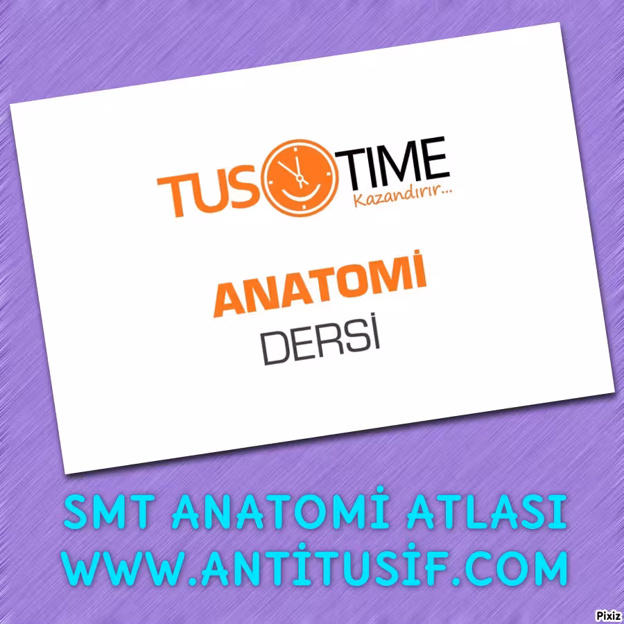 خرید و دانلود نسخه کامل کتاب SMT Nöroanatomi Atlası