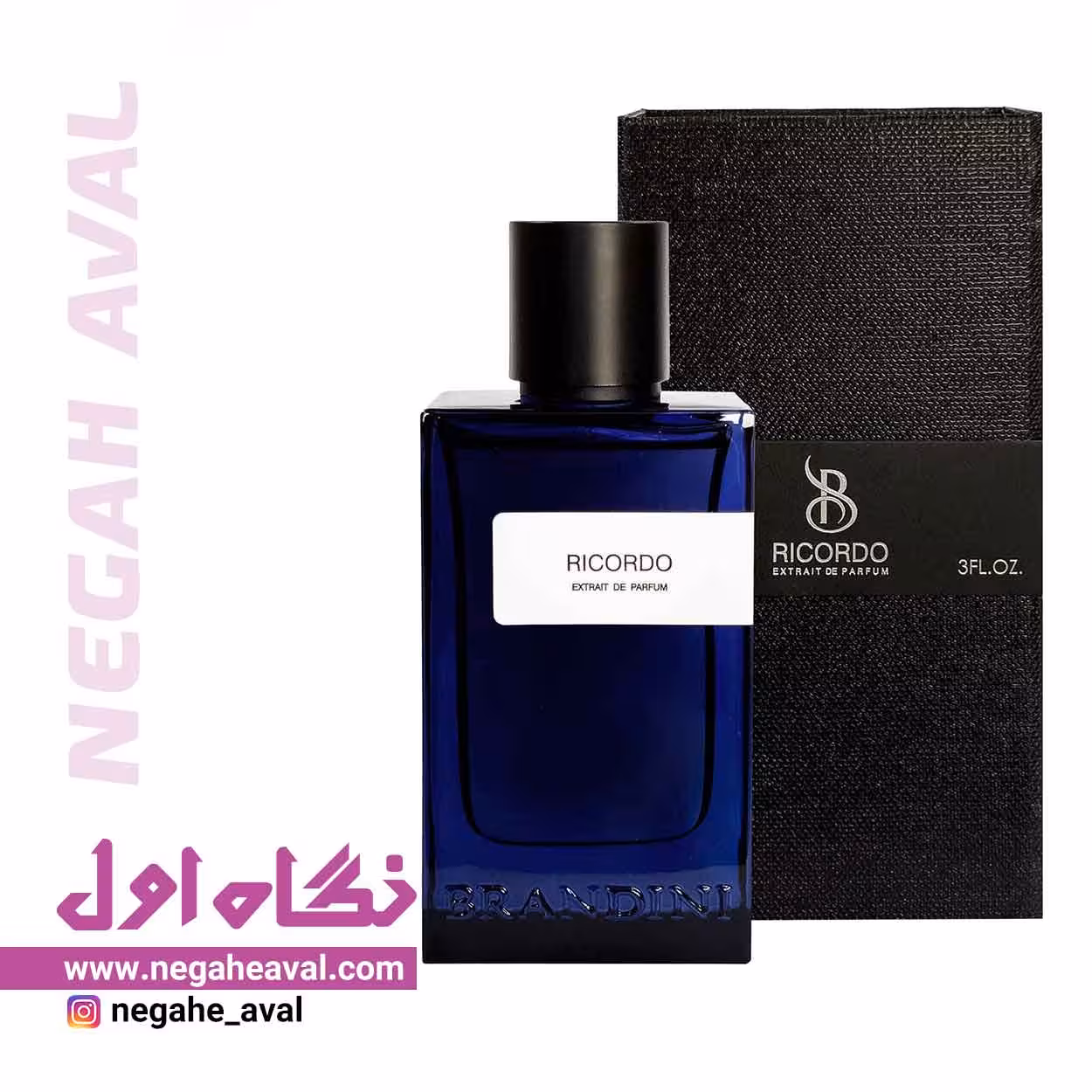 ادکلن مردانه RICORDO برندینی حجم 90 میلی لیتر