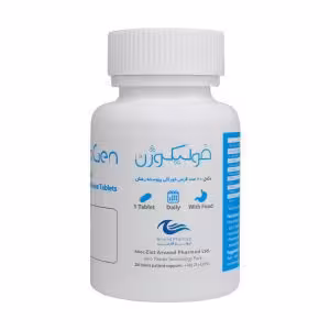 قرص فولیکوژن اروند فارمد 60 عدد