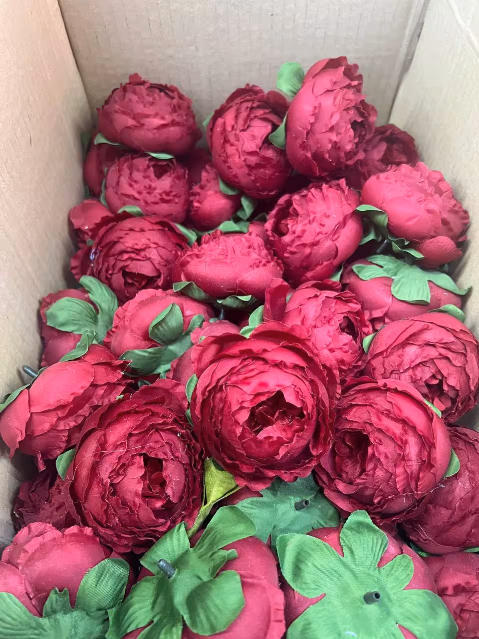 سرگل پیونی بزرگ رنگ قرمز 10عددی
