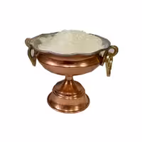 پودر نارگیل چرب سریلانکا دکتر بلندنظر 500 گرمی