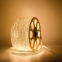 ریسه شلنگی وایرلس px