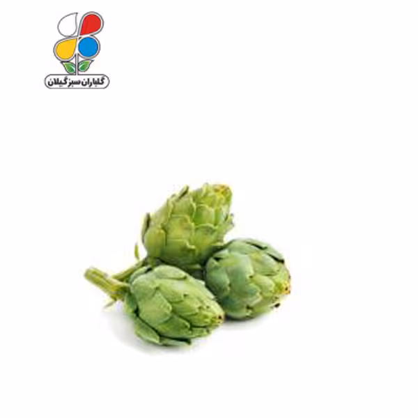 بذر کنگر فرنگی بسته بندی بزرگ سه عددی