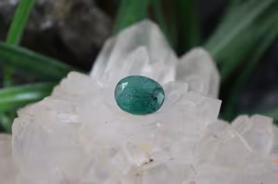 زمرد زامبیا