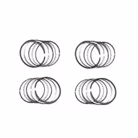 رینگ موتور پژو 405 ( 2000 )( NE ) المان XU9 اصل