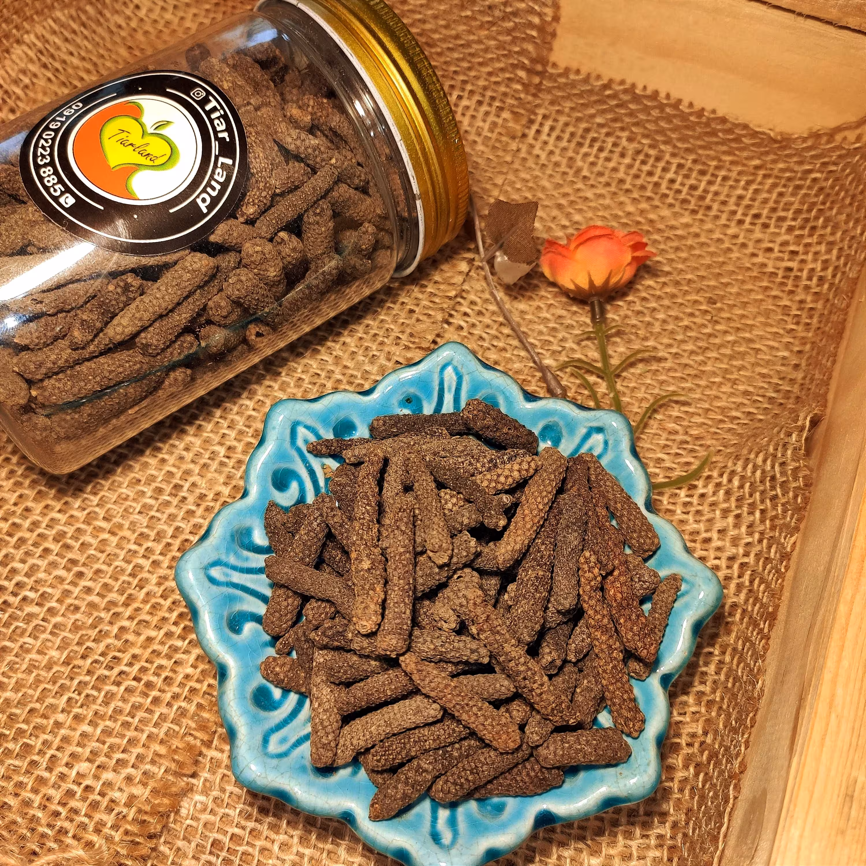 فلفل لانگوم  ،دار فلفل،  درشت و دستچین شده