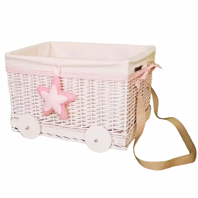 جعبه اسباب بازی اکوسبدکو مدل moas426-P